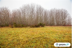 terrain à la vente -   87230  PAGEAS, surface 7719 m2 vente terrain - UBI476011853
